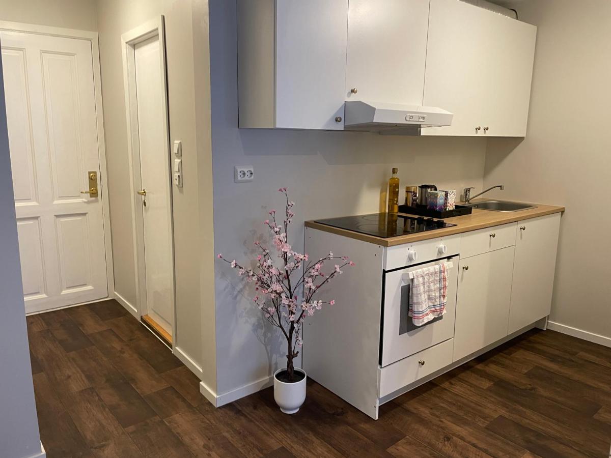 Central Studio Apartment Lejlighed